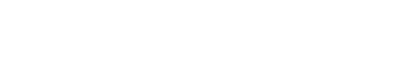 Logo_ThinkOwl-w